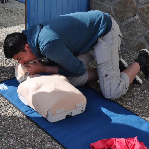 Massage cardiaque avec insufflation lors d'une session PSC1 à AURAY